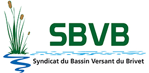SBVB-logo-quadri