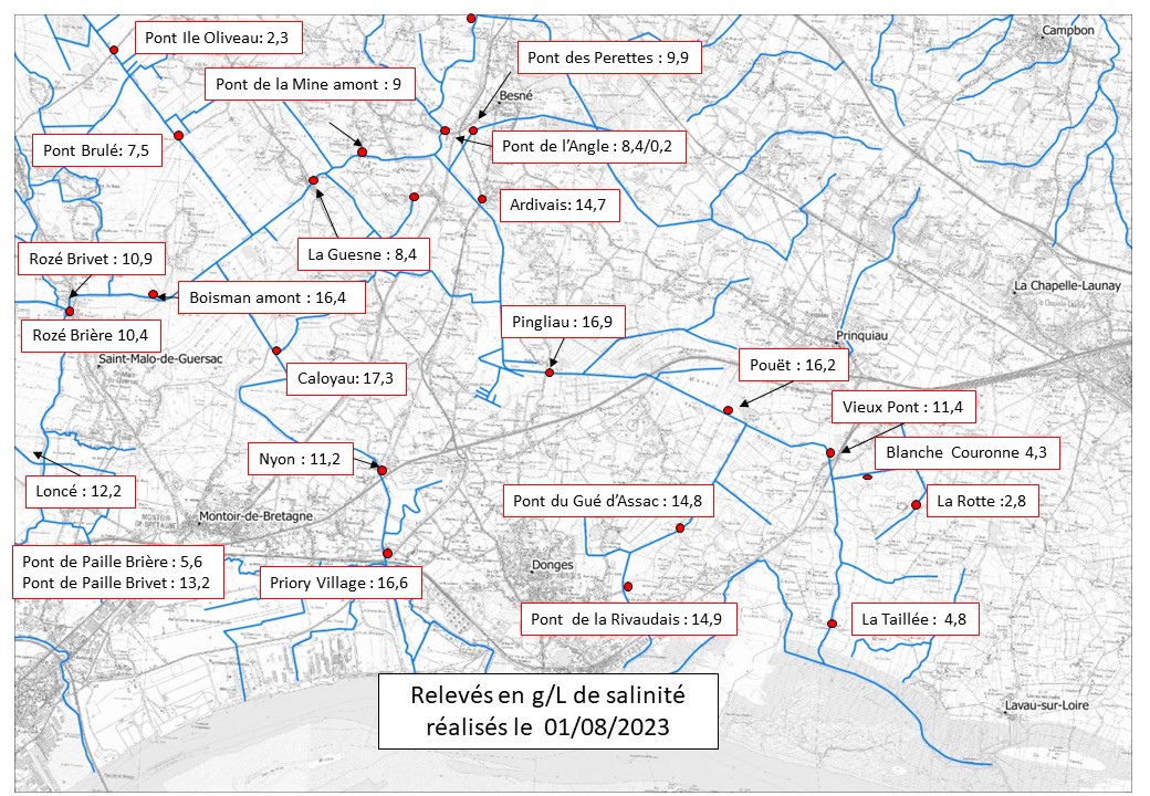 Carte suivi_salinité_1.8.2023